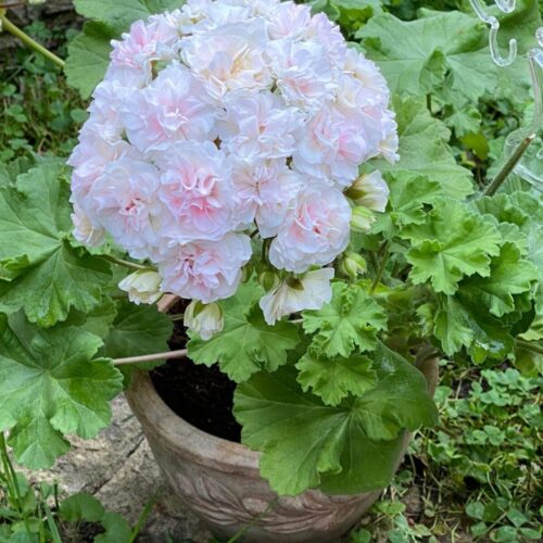 ИВ_Галина Уланова