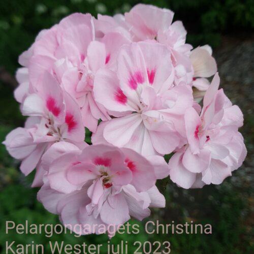 Pelargongaragets Christina