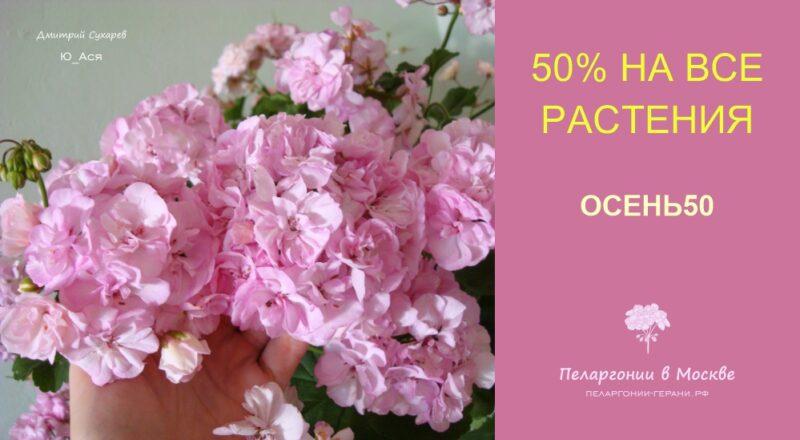 осень50