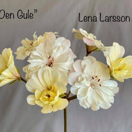 Den Gule